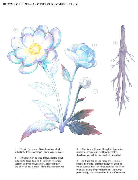 Flower Illustration